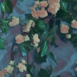 诗与酒之间