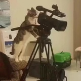 阿伦