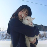 wowo