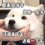 Fvy
