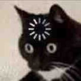 一十一二十二