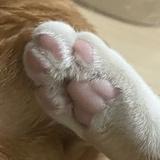 胡萝卜土豆