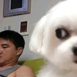 咿呀咿呀呦