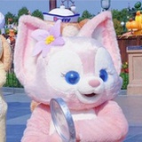 妙圈圈