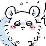 请盯着我的门牙