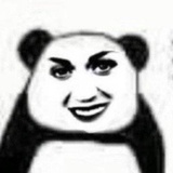 热血黄子韬