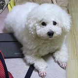 小xi