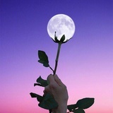 一个嘟嘟