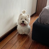 后现代主义无聊