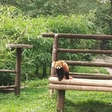 被雨淋湿的夏天
