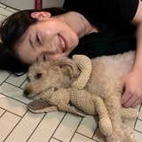 白龙马