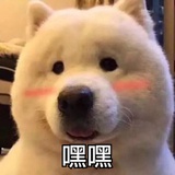 爱吃西瓜