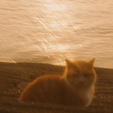 する