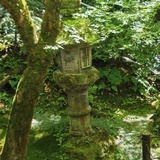 为自由离家出走