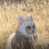 白石凿凿