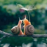 笑忘书