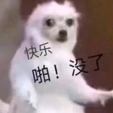 鸭鸭