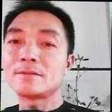 绿茶