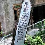 同林鸟（已黑化