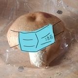 小香菇的头像