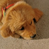 耳东小诗