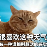 Sin