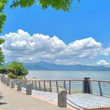 极道万岁