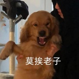 (｡•ˇ。‸ˇ•｡)