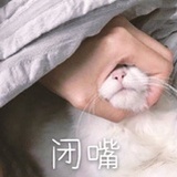 对！你说的都对