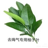 喵呜一口蜘蛛精
