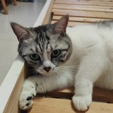 痕