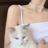 为你怦然心动