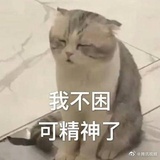 三七