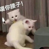 减肥好痛苦