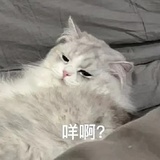 一二三四五六七