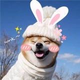 萱萱