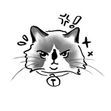 Kaii