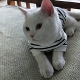 Izzie