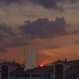 橘子太甜了