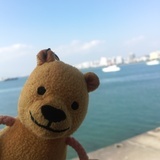 迷路的熊先生