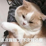 那得得偿所愿吧