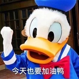 (>^ω^<)喵爱吃