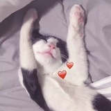 小呀小壹元