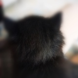 仙桃