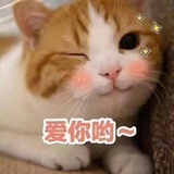 天呐撸