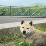 江城往事