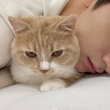 唔西迪西ng