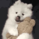 别说疯话