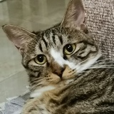 靳宇阳