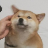 夜雾缭绕